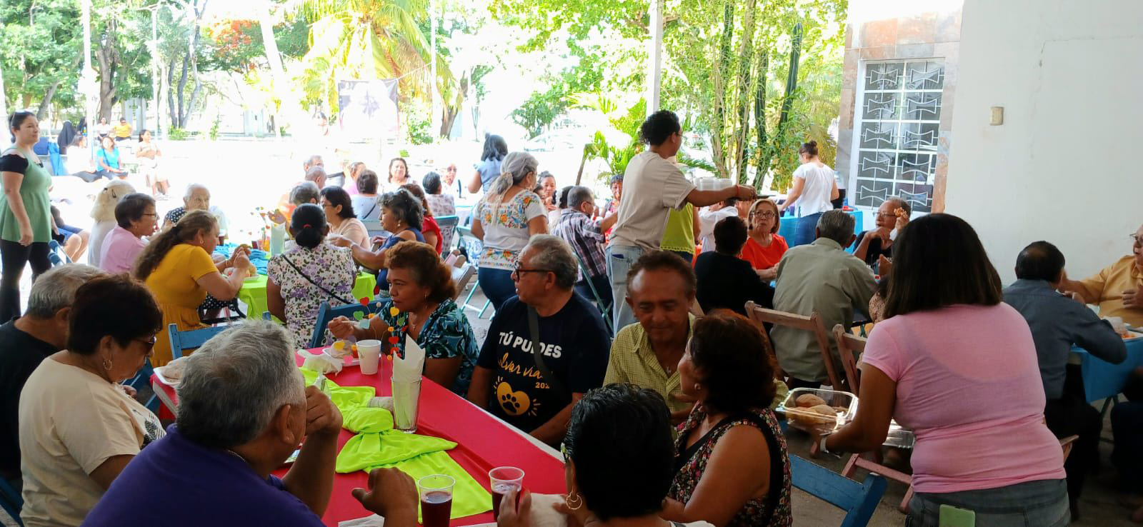 V Jornada Mundial de los Abuelos y de los Mayores